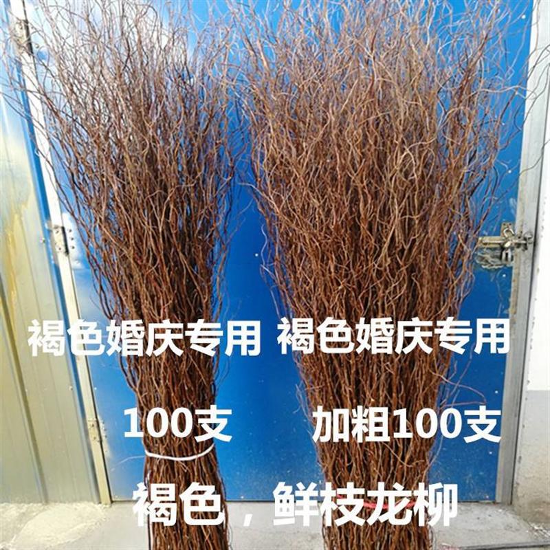 干枝干花鲜枝龙柳干枝,婚庆B拱门,橱窗装饰花隔断龙桑干枝