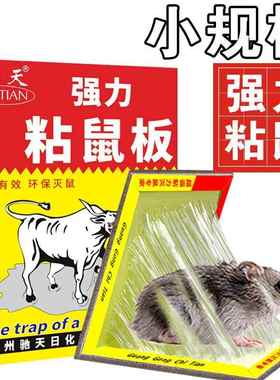 粘鼠板强力扑捉逮夹抓笼器神器胶粘板家用大