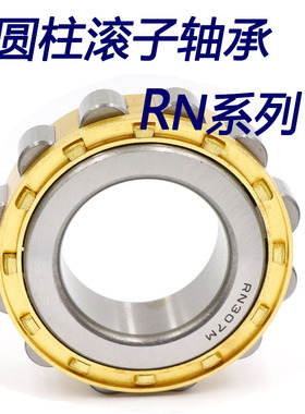 圆柱滚子轴承RN 213 214 215 216 217  218 219 220  221  224 EM