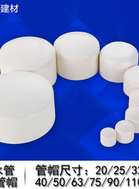 加厚pvc下水管帽闷盖排水管清扫口带检查口堵头防臭20/50/75/110