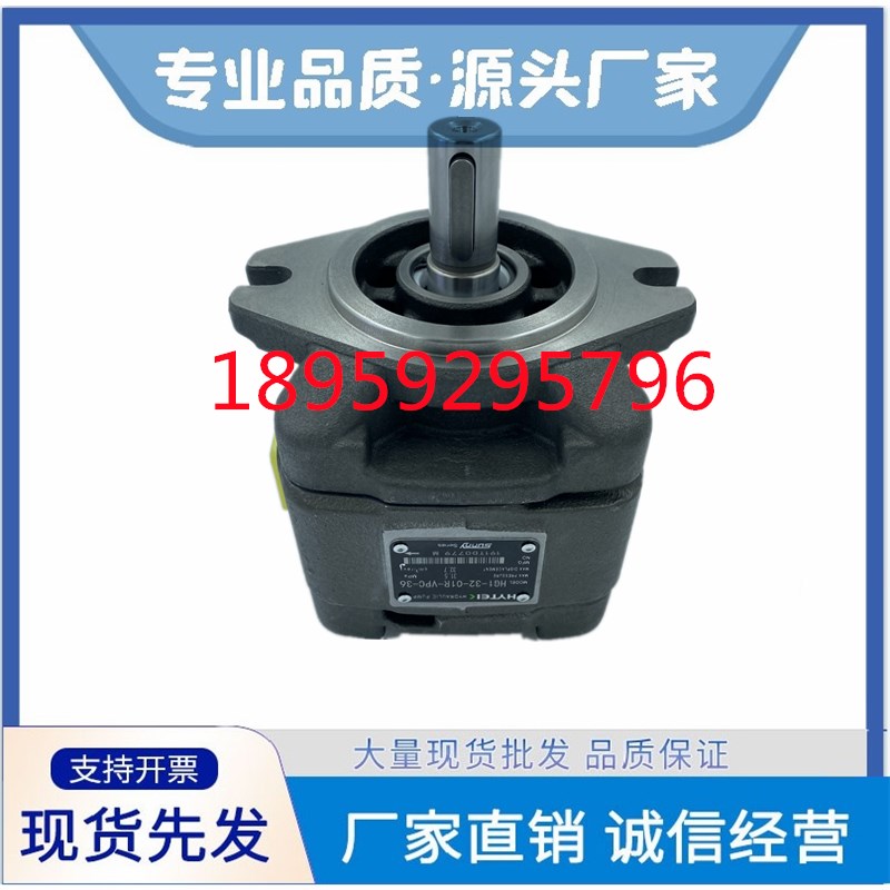 HG0/1/2-16/13/10/8/160/125/80/40/50-01R-VPC内啮合齿轮泵SFEEN