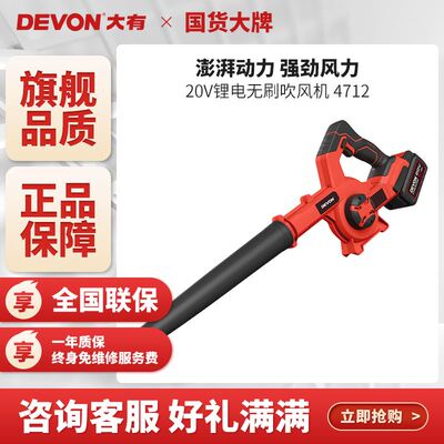 大有20V充电吹风机无刷锂电大功率工业用施工小型吹灰吹尘器4712