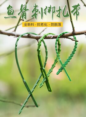 鱼骨型扎带固定扣牵引线可松式爬藤植物捆绑线绑园艺扎线固定神器