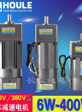 HOULE 6W~400W微型交流刹车齿轮减速电机 定速/调速/变速小马达