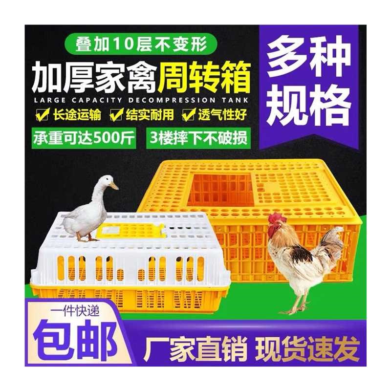 鸡笼运输笼家用周转箱成鸡鸭鹅兔鸽子家禽运输笼子加厚塑料运输筐