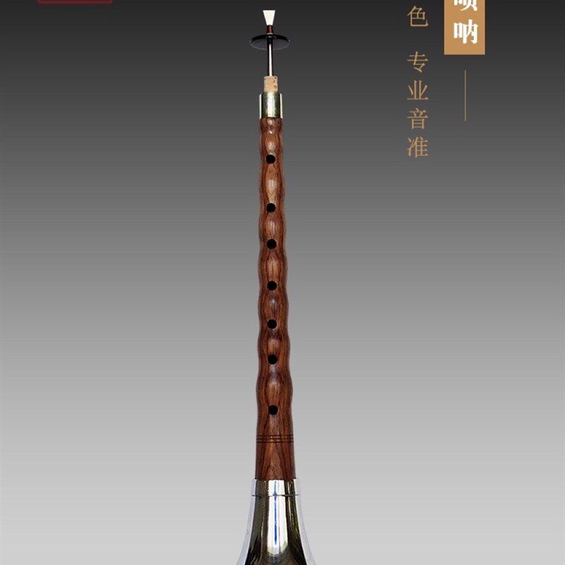 吴氏管乐专业初级大G调唢呐红木ZC-J101 含哨片芯子 气盘
