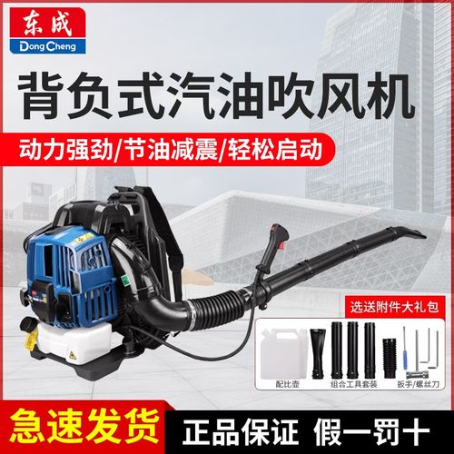 东成汽油吹风机FF-CF20背负式二冲程吹雪机灭火机马路吹尘暴风机