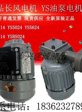 YS5014 YS5024 YS5614三相异步电动40W 60W油泵电机长风YS5624(A)
