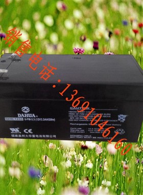 正品保证大华DAHUA大华蓄电池DHB1233消防电池12v3.3ah 门禁电池