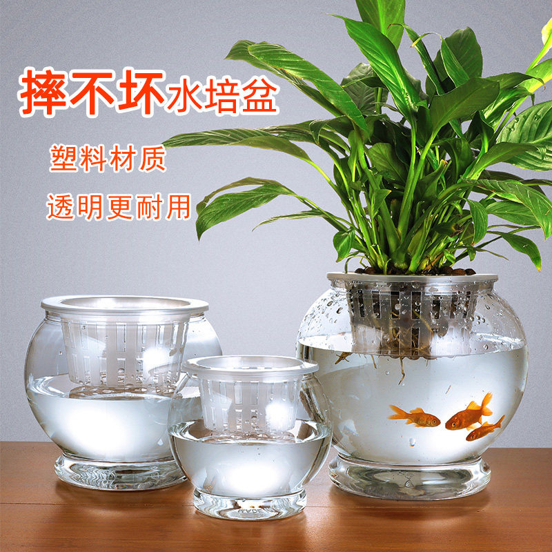 水培植物塑料花瓶懒人透明水养绿萝红掌花盆容器插花圆球鱼缸器皿,厨房电器,商用制热电器配件,淘宝优惠券,粉丝福利购,淘宝优惠卷