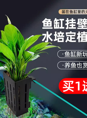 水培固定篮鱼缸挂壁式水草种植杯植物定植容器乌龟缸造景装饰摆件