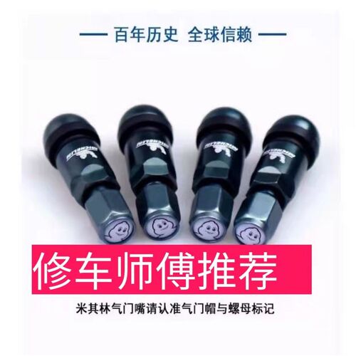 米其林汽车轮胎气门嘴轮毂真空胎铝合金气门芯套装轮胎帽盖原厂