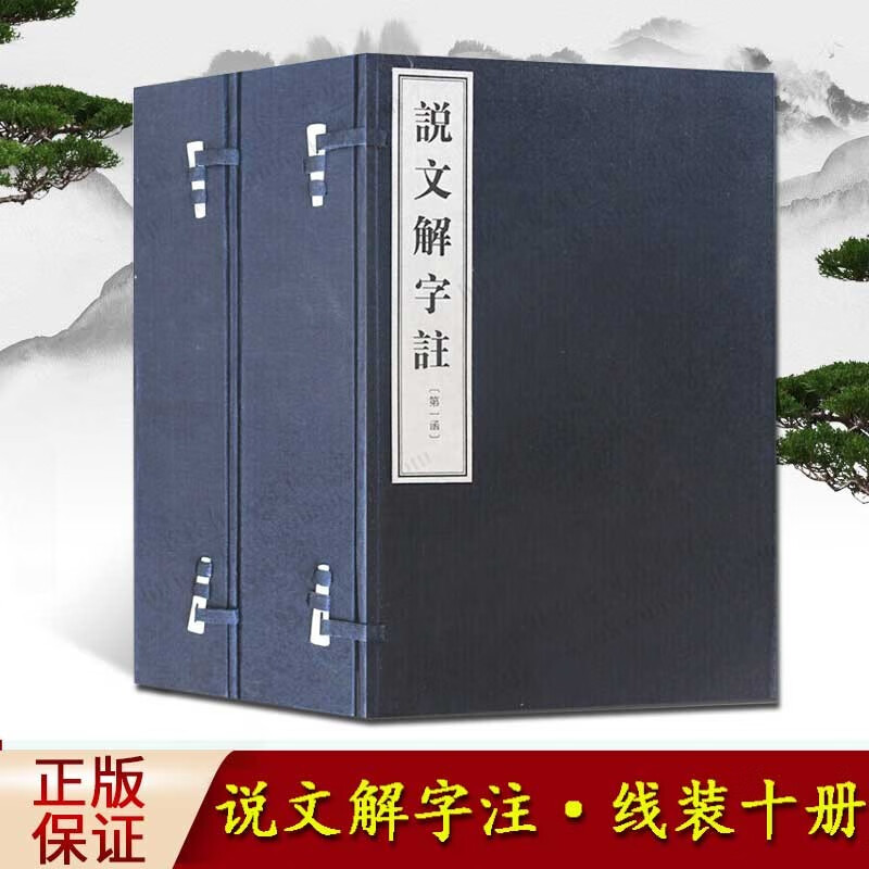 说文解字注东汉许慎著中国古文字学名著古汉语研究辞书 2函10册线装竖版繁体字国学古籍善本书籍 中州古籍出版社