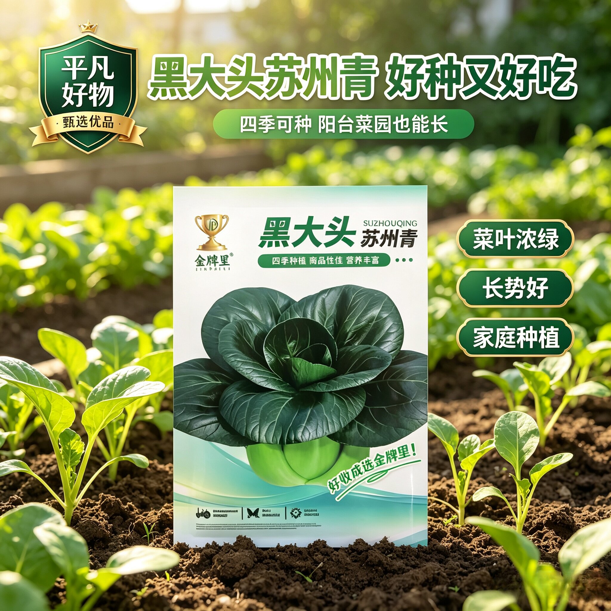 【苏州青种子】新款黑大头苏州青黑叶矮脚青梗菜农家蔬菜种子JL