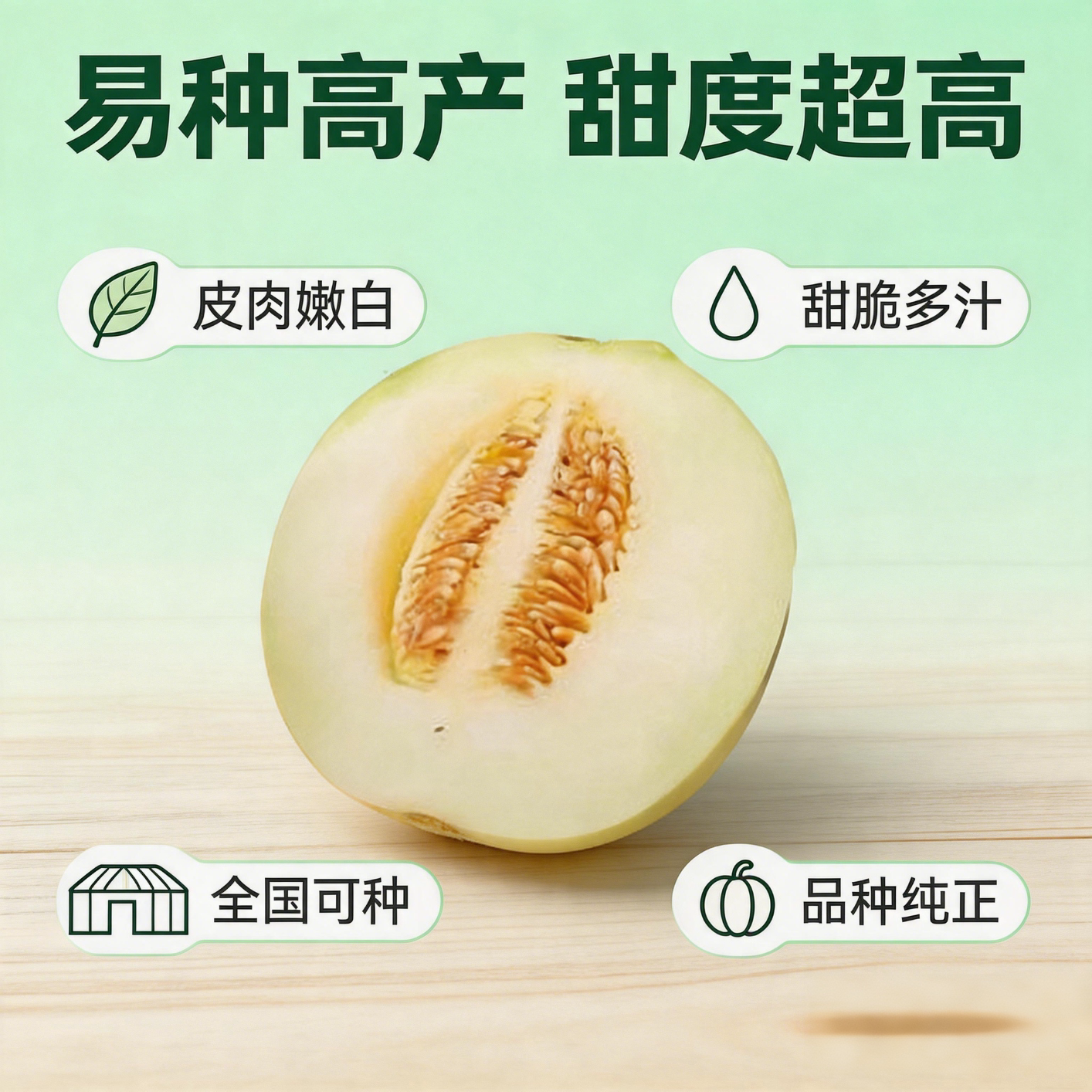 白沙蜜冰糖脆白蜜宝甜瓜种子香瓜种子懒汉甜瓜春夏播种yz