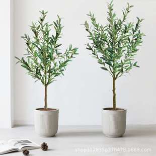 轻奢仿真油橄榄树室内绿植新款橄榄树家居店铺装饰盆栽假植物摆件