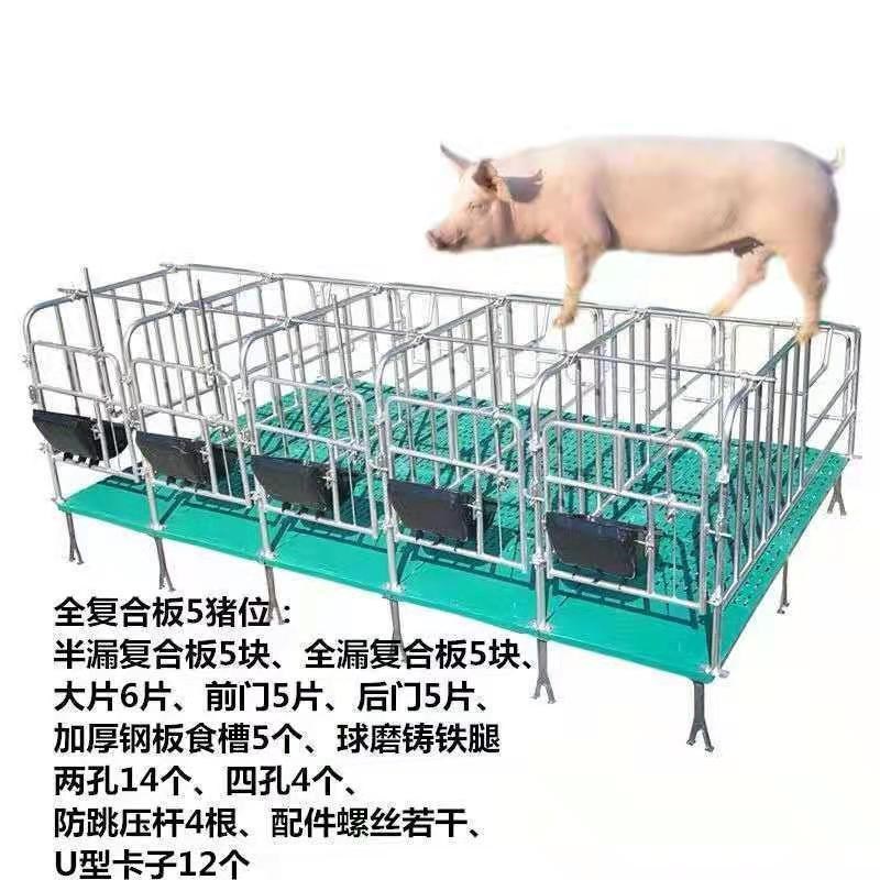 母猪定位栏落地式限位栏带漏粪板定位栏加厚猪用母猪位
