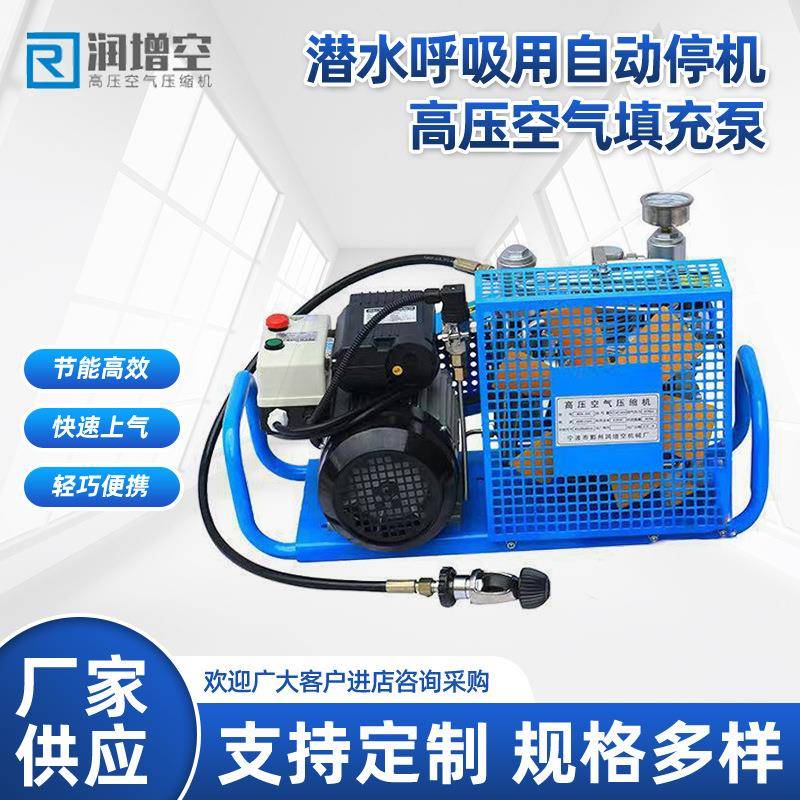 便携式潜水呼吸自动停机高压空气填充泵气瓶空压机充填气泵