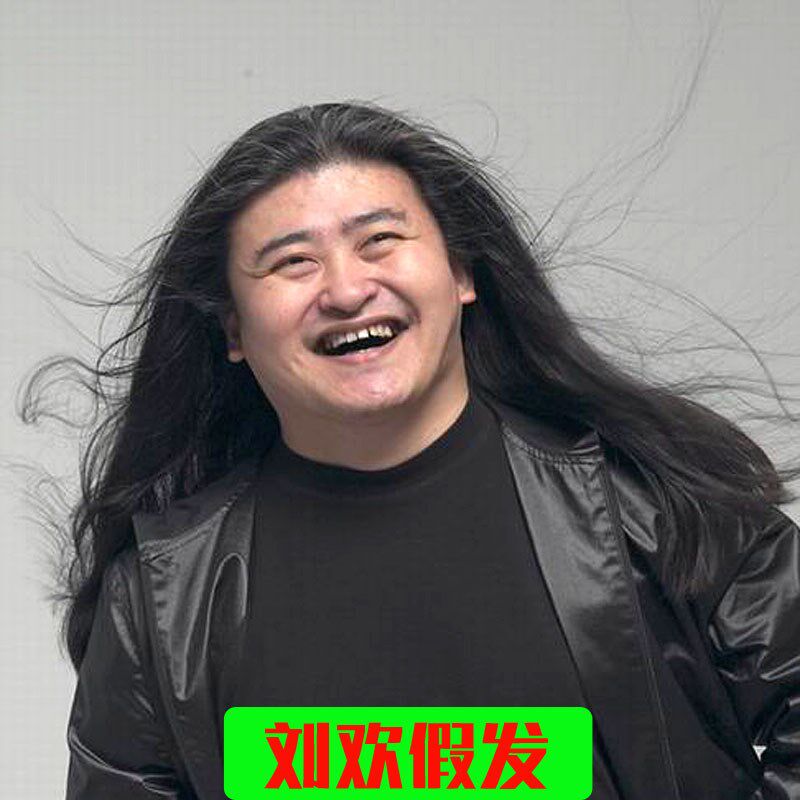 摇滚假发黑色中分逼真长直模仿刘欢假发道具成人节U日舞台表演假