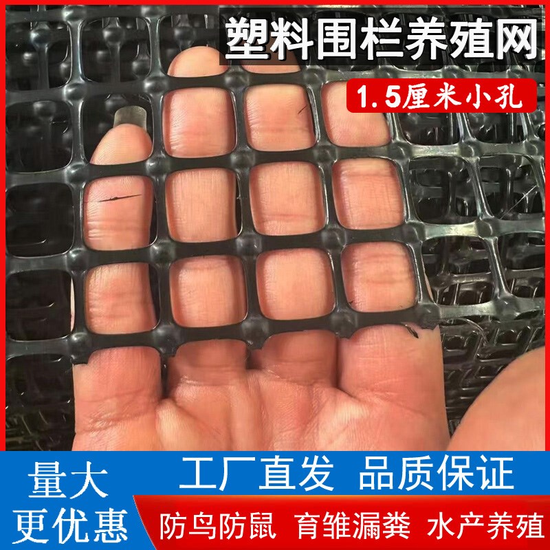 小孔塑料a网养殖网1.5厘米网孔养鸡护栏网鸭鹅育雏漏粪脚垫网围栏