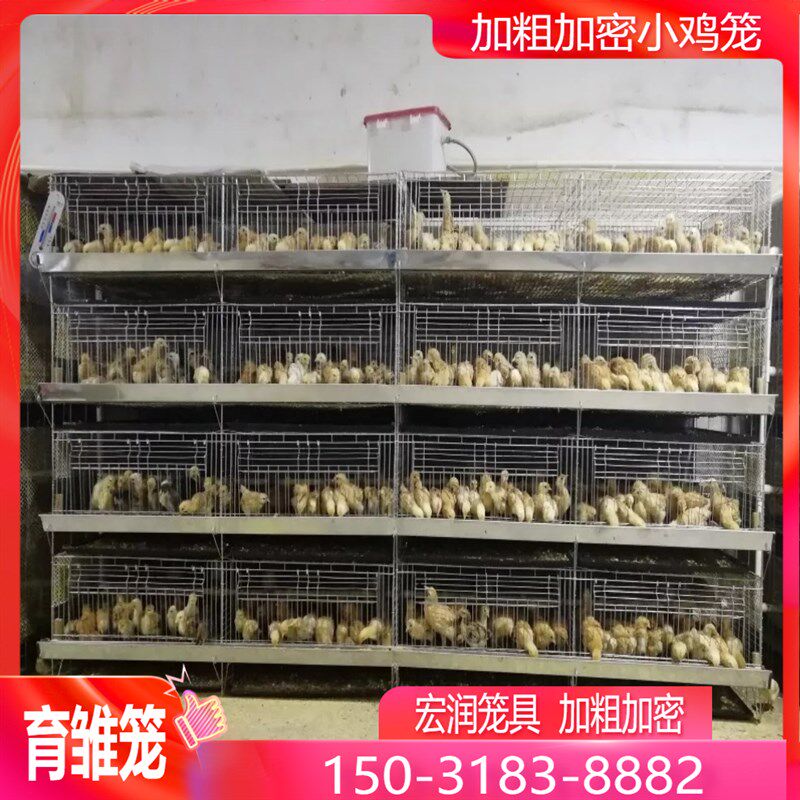 小鸡笼子育雏笼子多层新款养鸡笼家用脱温鸡笼养殖场育雏鸡笼