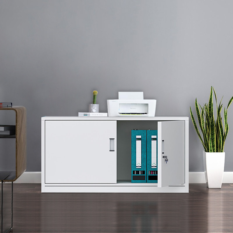 文件柜办公柜钢制铁皮柜资料柜档案柜储物柜分五节单节小文件柜子,宠物/宠物食品及用品,宠物背包,淘宝优惠券,粉丝福利购,淘宝优惠卷