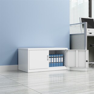 财务单节文件盒收纳柜凭证文档柜办公室数据柜铁皮带锁小矮柜橱柜