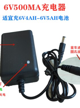 上海花潮电子台称 TCS-100 150 200 300 通用充电器 AC6V 电源线