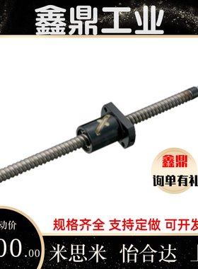 滚珠丝杆BSST BSSR BSSZ (K)1204 2005 2010 2505 2510 3205 3210
