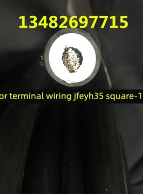 上海南洋电材高压电机绕组引接电缆JFEYH35平方-10KV纯铜国标拆零