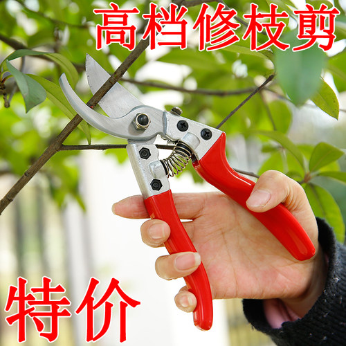 花剪 修枝剪 树枝剪刀粗枝剪刀园林剪果树剪五金工具修剪修花省力