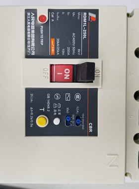 人民电器集团RDM1LE-250L/4300A 250A塑壳漏电断路器空开