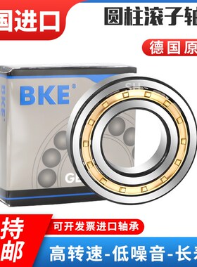 原装进口圆柱滚子轴承RN NUP 204 205 206 207 208 209 210 211 M