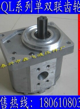 CBQL-F550/F532/F520/F525/F540/F550/CFHL 单,双联高压齿轮泵
