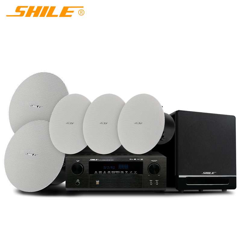 狮乐（SHILE）AV6612C+BX307+BX305+YW2吸顶5.1家庭影院音响套装
