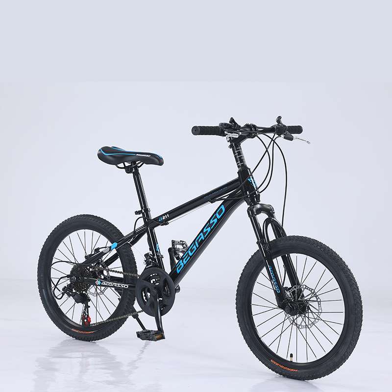 厂家 儿童自行车变速童车20寸男童山地车户外减震单车碟刹bike