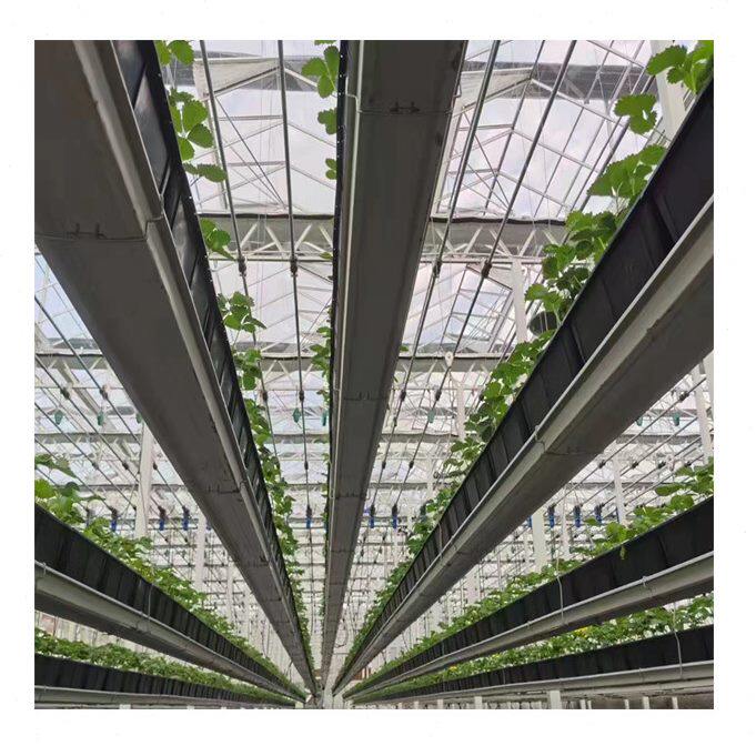 甄选升降立体种植槽空中无土栽培花卉蔬菜种植箱大棚架草莓种植槽