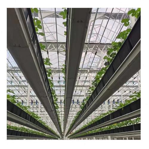 甄选升降立体种植槽空中无土栽培花卉蔬菜种植箱大棚架草莓种植槽