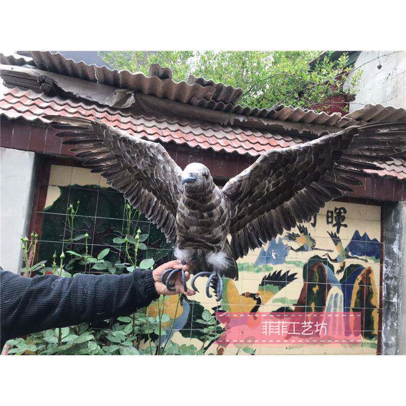 模彷真羽毛老园林影视拍摄道RII具鹰金雕型驱鹰鸟银灰丹老鹰