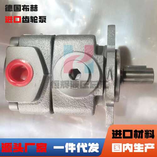 德国布赫油泵QX QXV QXEH QXM QXT QT液压泵高压油泵BUCHER齿轮泵