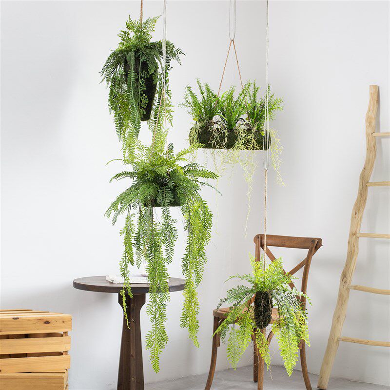 彷真悬挂植物蕨类垂吊绿植空w中吊球吊饰森系苔藓块饭厅橱窗挂饰