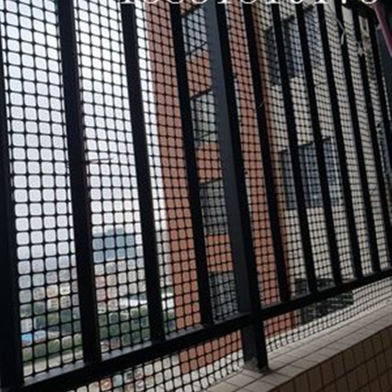 抗晒塑料网养鸡围栏网养殖网土工格栅防护网鸡鸭鹅漏粪网塑料格栅