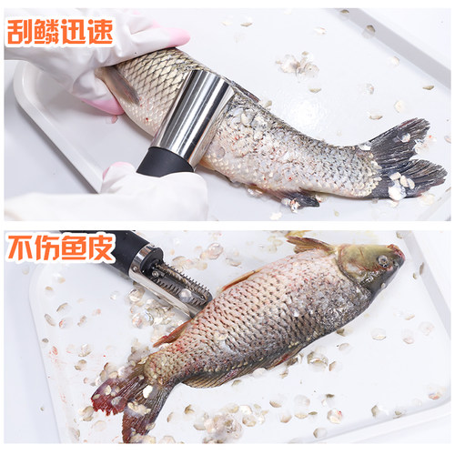 老工匠插电不锈钢刮刨刷杀鱼鳞机器工具电动全自动手剥笋神器防水