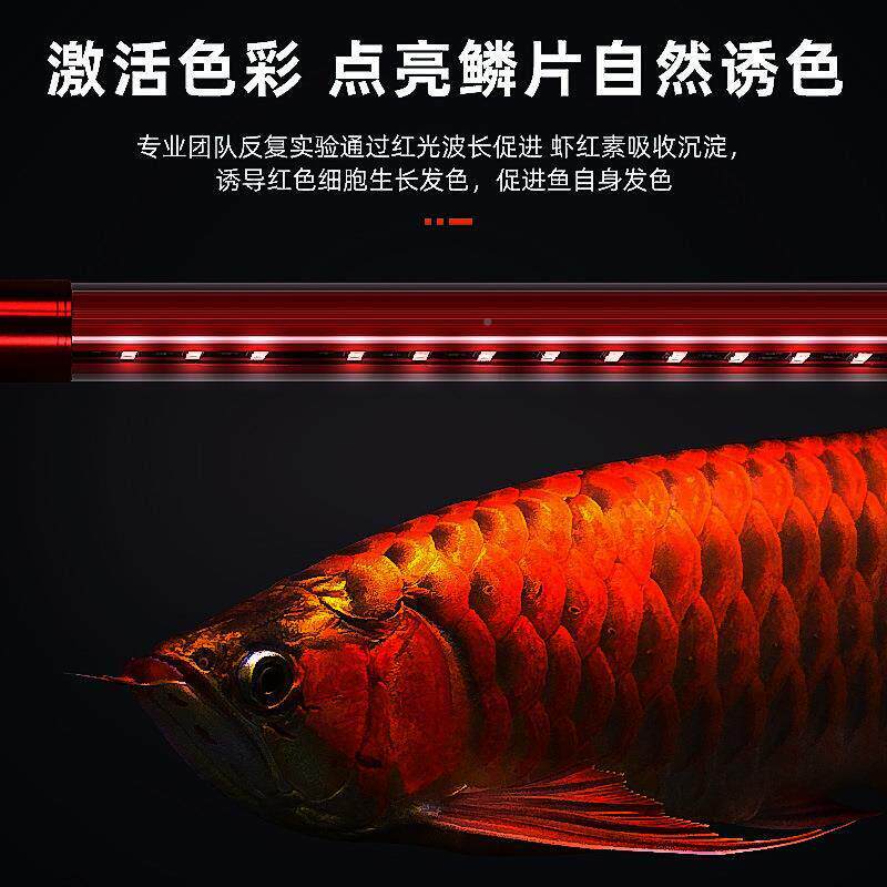 水亮龙鱼灯鱼缸灯防水超潜增红增艳A0009灯红鱼不红水照明专用金