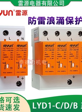 上海雷源LYD1-C40/B60/D20/B100电源避雷保护器2P/4P 40KA浪涌SPD