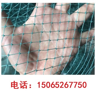养鸡网防鸟网球场隔离网小眼网植物攀爬网防猫网楼梯阳台防护网子