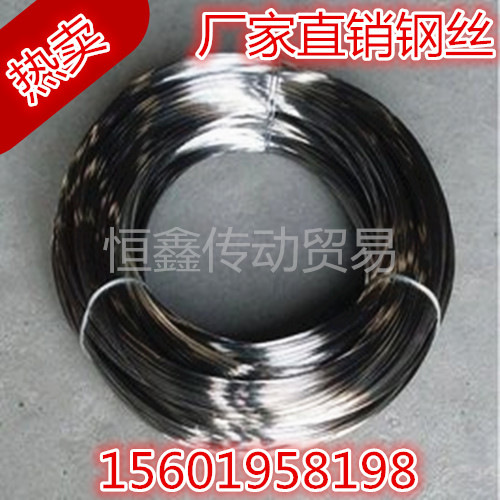 弹簧钢丝 6mm 65锰弹簧丝油性钢丝 单股钢丝碳素穿线钢丝单价1米