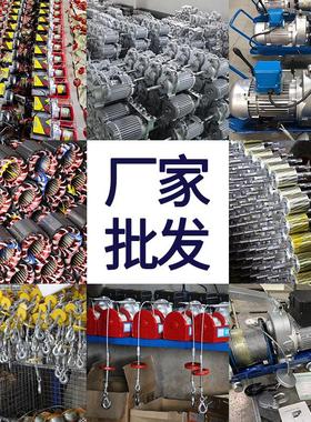 220V家用电动葫芦1TELECTRIC HOIST微型提升机110V440v小型电机