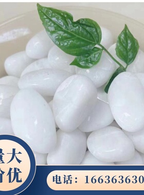 海南直销白色鹅卵石石子庭院铺路铺地小白石头造景景白石子鹅卵石