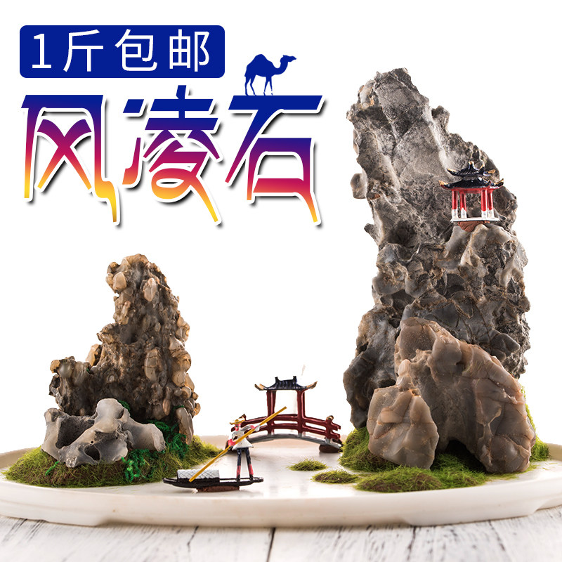 风凌石 奇石 戈壁原石附石菖蒲假山盆景园艺盆栽微景观摆件配石头
